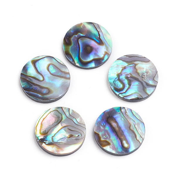 PandaHall Natural Abalone Shell/Paua Shell Cabochons, Flat Round, 15x2mm Paua Shell Flat Round
PandaHall Natural Abalone Shell/Paua Shell Cabochons, Flat Round, 15x2mm Paua Shell Flat Round
