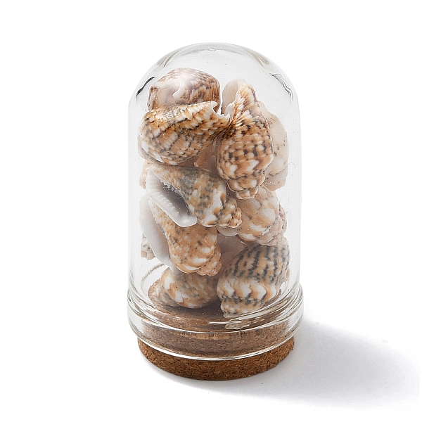PandaHall Glass Dome Bottle Display Decorations, with Natural Shell Bead Inside and Cork Base, Orange, 46~48x25mm Shell Shell Shape Orange
PandaHall Glass Dome Bottle Display Decorations, with Natural Shell Bead Inside and Cork Base, Orange, 46~48x25mm Shell Shell Shape Orange
