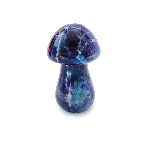 PandaHall Natural Sodalite Healing Mushroom Figurines, Reiki Energy Stone Display Decorations, 35mm Sodalite Mushroom
PandaHall Natural Sodalite Healing Mushroom Figurines, Reiki Energy Stone Display Decorations, 35mm Sodalite Mushroom