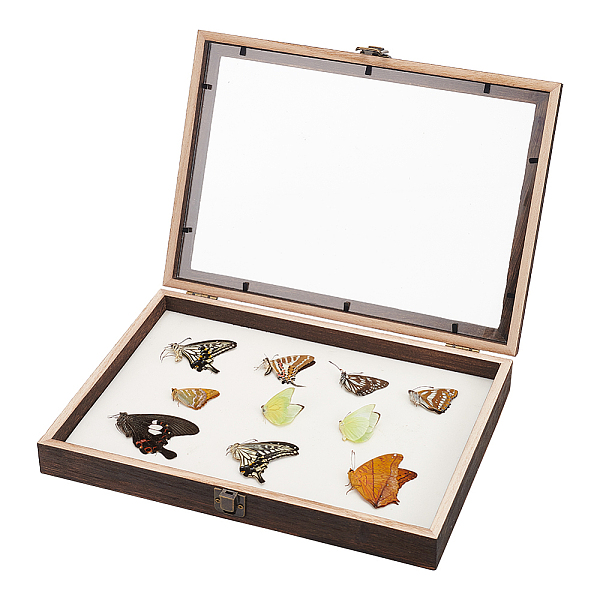 PandaHall Wood Jewelry Presentation Boxes with White EVA Foam Mat Inside, Flap Cover Insect Specimen Display Case with Visible Acrylic...
PandaHall Wood Jewelry Presentation Boxes with White EVA Foam Mat Inside, Flap Cover Insect Specimen Display Case with Visible Acrylic...