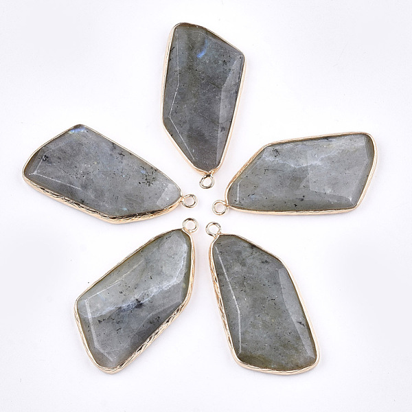 PandaHall Natural Labradorite Pendants, with Brass Findings, Faceted, Golden, 43~47x22x6~7mm, Hole: 2mm Labradorite Nuggets
PandaHall Natural Labradorite Pendants, with Brass Findings, Faceted, Golden, 43~47x22x6~7mm, Hole: 2mm Labradorite Nuggets