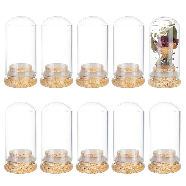PandaHall BENECREAT 10 Pack 30ml Glass Decorative Jars Dome Display Bottles Message Wishing Bottles with Bamboo Base for Wedding Favors..., Clear
PandaHall BENECREAT 10 Pack 30ml Glass Decorative Jars Dome Display Bottles Message Wishing Bottles with Bamboo Base for Wedding Favors..., Clear