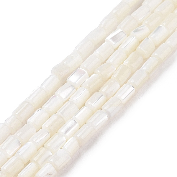 PandaHall Natural Trochus Shell Beads Strands, Dyed, Column, White, 5x3mm, Hole: 0.8mm, about 82~83pcs/strand, 15.63''(39.7cm) Trochus Shell...
PandaHall Natural Trochus Shell Beads Strands, Dyed, Column, White, 5x3mm, Hole: 0.8mm, about 82~83pcs/strand, 15.63''(39.7cm) Trochus Shell...