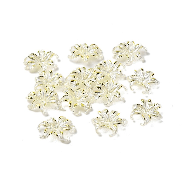 PandaHall Transparent Acrylic Bead Caps, Flower, Gold, 36.5x42.5x8mm, Hole: 2.8mm, 227pcs/500g Acrylic Gold
PandaHall Transparent Acrylic Bead Caps, Flower, Gold, 36.5x42.5x8mm, Hole: 2.8mm, 227pcs/500g Acrylic Gold