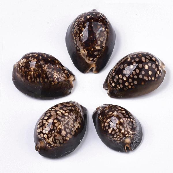 PandaHall Natural Cowrie Shell Beads, No Hole/Undrilled, 60~90x40~60x25~45mm Cowrie Shell Shell Shape
PandaHall Natural Cowrie Shell Beads, No Hole/Undrilled, 60~90x40~60x25~45mm Cowrie Shell Shell Shape