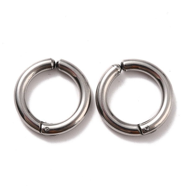 PandaHall 304 Stainless Steel Clip-on Earrings, Hypoallergenic Earrings, Ring, Stainless Steel Color, 19x3mm 304 Stainless Steel
PandaHall 304 Stainless Steel Clip-on Earrings, Hypoallergenic Earrings, Ring, Stainless Steel Color, 19x3mm 304 Stainless Steel