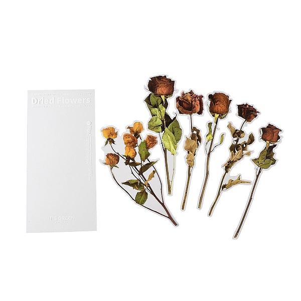 PandaHall 6Pcs PET Self Adhesive Plant Decorative Stickers, Waterproof Vintage Floral Decals, for DIY Scrapbooking, Peru..., Brown
PandaHall 6Pcs PET Self Adhesive Plant Decorative Stickers, Waterproof Vintage Floral Decals, for DIY Scrapbooking, Peru..., Brown