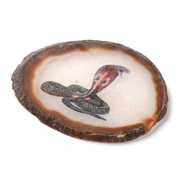 PandaHall Printed Natural Agate Slice Stone Ornament, for Good Luck Home Office Decor, Snake, 115~125x110~130x7~8mm Natural Agate Snake
PandaHall Printed Natural Agate Slice Stone Ornament, for Good Luck Home Office Decor, Snake, 115~125x110~130x7~8mm Natural Agate Snake