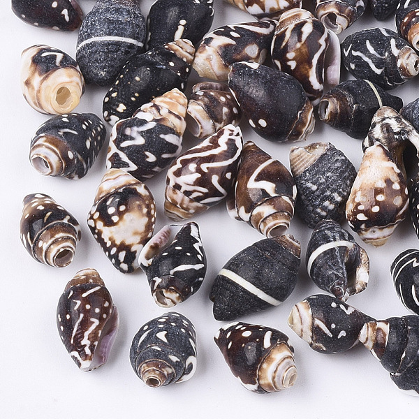 PandaHall Spiral Shell Beads, Coconut Brown, 10~16x7~10x7~9mm, Hole: 1~3mm Spiral Shell Shell Shape
PandaHall Spiral Shell Beads, Coconut Brown, 10~16x7~10x7~9mm, Hole: 1~3mm Spiral Shell Shell Shape