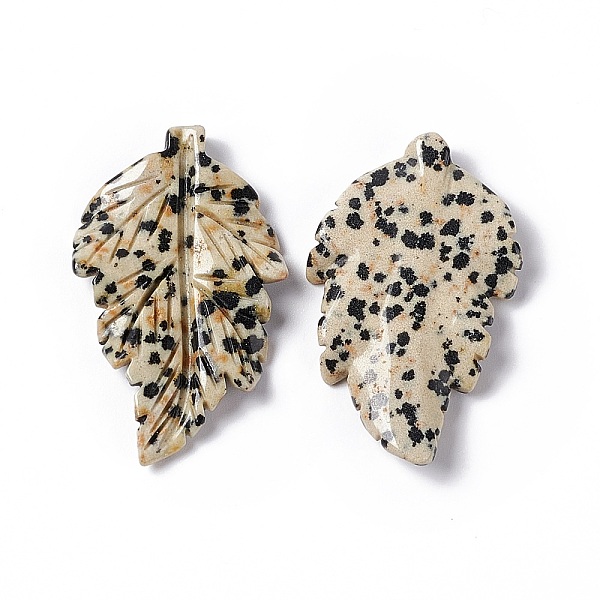 PandaHall Natural Dalmatian Jasper Pendants, Leaf Charms, 41.5x25~26x5mm, Hole: 0.8mm Dalmatian Jasper Leaf
PandaHall Natural Dalmatian Jasper Pendants, Leaf Charms, 41.5x25~26x5mm, Hole: 0.8mm Dalmatian Jasper Leaf