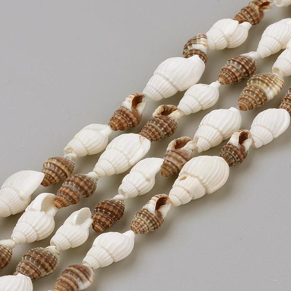 PandaHall Natural Sea Shell Beads Strands, Mixed Color, 10~18x6~10x6~10mm, about 132pcs/strand, 62.9 inch Other Sea Shell Shell Shape..., Multicolor
PandaHall Natural Sea Shell Beads Strands, Mixed Color, 10~18x6~10x6~10mm, about 132pcs/strand, 62.9 inch Other Sea Shell Shell Shape..., Multicolor