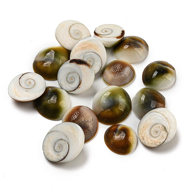 PandaHall Conch Sea Shell Cabochons, Half Round, Half Round, 11.5~14.5x6mm, about: 511pcs/1000g Sea Shell Half Round
PandaHall Conch Sea Shell Cabochons, Half Round, Half Round, 11.5~14.5x6mm, about: 511pcs/1000g Sea Shell Half Round