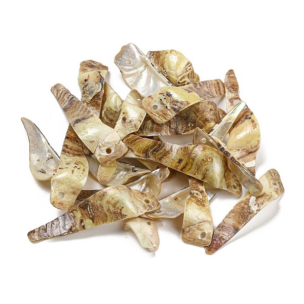 PandaHall Spray Painted Natural Akoya Shell Big Pendants, Nuggets Charms, Lemon Chiffon, 35.5~55x8~20x4~12mm, Hole: 1.2mm Other Sea Shell...
PandaHall Spray Painted Natural Akoya Shell Big Pendants, Nuggets Charms, Lemon Chiffon, 35.5~55x8~20x4~12mm, Hole: 1.2mm Other Sea Shell...