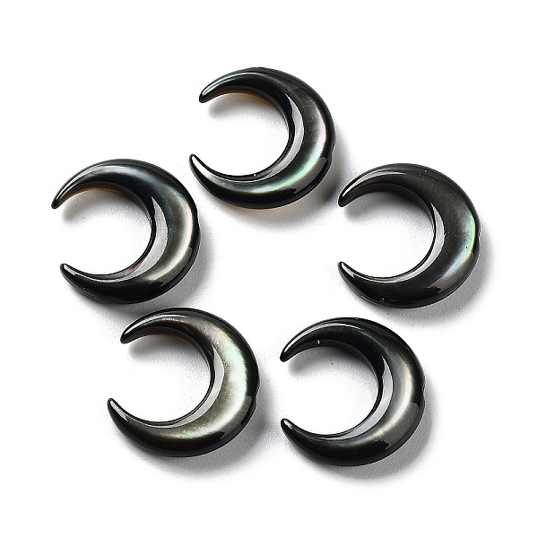 PandaHall Natural Black Lip Shell Beads, Crescent Moon, Black, 11x12x3mm, Hole: 0.7mm Black Lip Shell Moon Black
PandaHall Natural Black Lip Shell Beads, Crescent Moon, Black, 11x12x3mm, Hole: 0.7mm Black Lip Shell Moon Black