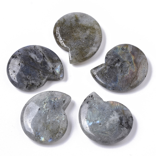 PandaHall Natural Labradorite Beads, No Hole/Undrilled, Spiral Shell Shape, 32.5x28x8mm Labradorite Shell Shape
PandaHall Natural Labradorite Beads, No Hole/Undrilled, Spiral Shell Shape, 32.5x28x8mm Labradorite Shell Shape