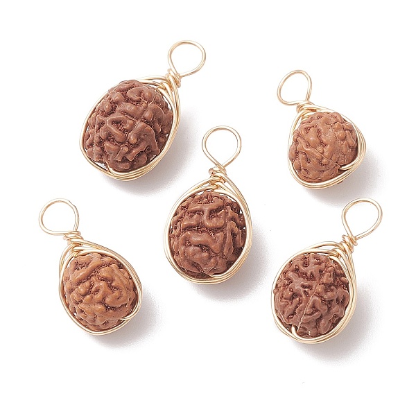 PandaHall Natural Rudraksha Copper Wire Wrapped Pendants, Teardrop Charms, Undyed, Golden, 18~22x10~11.5x9~10mm, Hole: 4mm Wood Teardrop
PandaHall Natural Rudraksha Copper Wire Wrapped Pendants, Teardrop Charms, Undyed, Golden, 18~22x10~11.5x9~10mm, Hole: 4mm Wood Teardrop