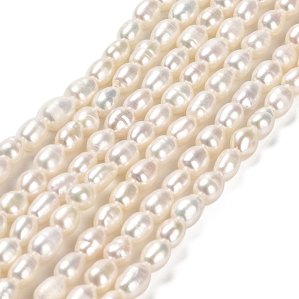 PandaHall Natural Cultured Freshwater Pearl Beads Strands, Rice, Grade 3A, Floral White, 4~4.5x3~4x3~4mm, about 73~74pcs/strand, 13.78''...
PandaHall Natural Cultured Freshwater Pearl Beads Strands, Rice, Grade 3A, Floral White, 4~4.5x3~4x3~4mm, about 73~74pcs/strand, 13.78''...
