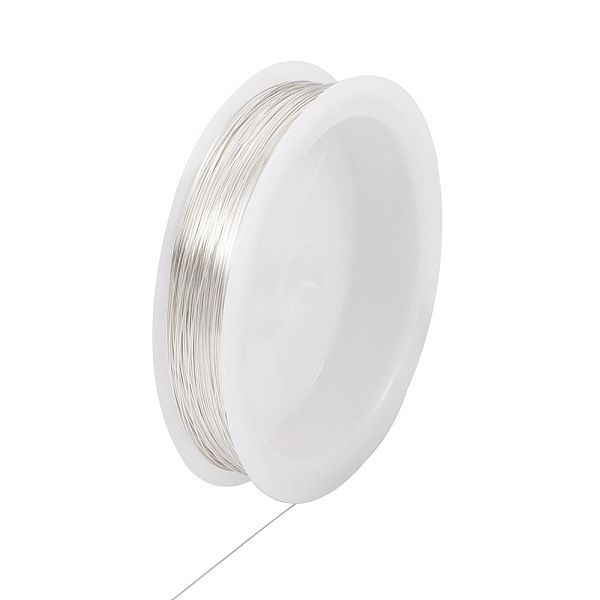 PandaHall Copper Wire, Round, for Jewelry Making, Silver, 0.3mm, about 236.22 Feet(72m)/Roll Copper Round
PandaHall Copper Wire, Round, for Jewelry Making, Silver, 0.3mm, about 236.22 Feet(72m)/Roll Copper Round