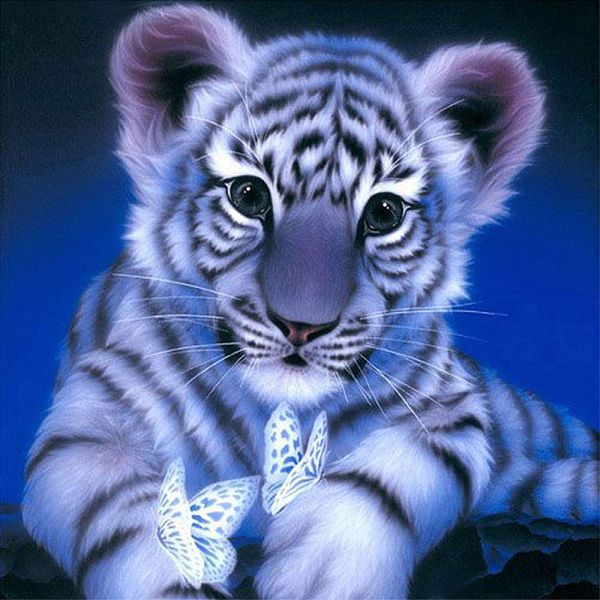 PandaHall DIY 5D Animals Tiger Pattern Canvas Diamond Painting Kits, with Resin Rhinestones, Sticky Pen, Tray Plate, Glue Clay, for Home..., Multicolor
PandaHall DIY 5D Animals Tiger Pattern Canvas Diamond Painting Kits, with Resin Rhinestones, Sticky Pen, Tray Plate, Glue Clay, for Home..., Multicolor