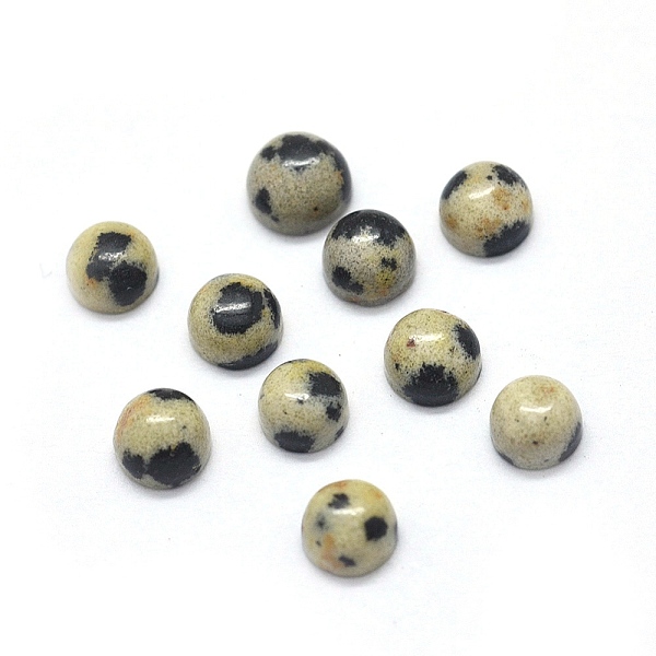 PandaHall Natural Dalmatian Jasper Cabochons, Half Round/NaturalDome, 4x1.5~2.5mm Dalmatian Jasper Half Round
PandaHall Natural Dalmatian Jasper Cabochons, Half Round/NaturalDome, 4x1.5~2.5mm Dalmatian Jasper Half Round