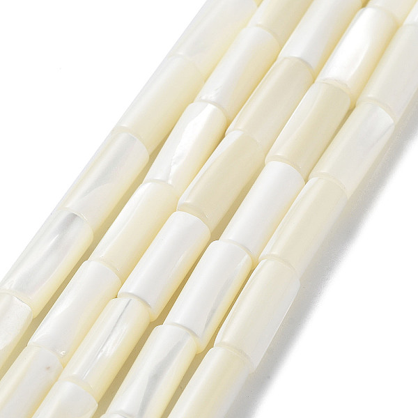 PandaHall Natural Trochus Shell Beads Strands, Column, Floral White, 13.5~14x5.5~6mm, Hole: 0.6mm, about 29pcs/strand, 15.75''(40cm) Trochus...
PandaHall Natural Trochus Shell Beads Strands, Column, Floral White, 13.5~14x5.5~6mm, Hole: 0.6mm, about 29pcs/strand, 15.75''(40cm) Trochus...