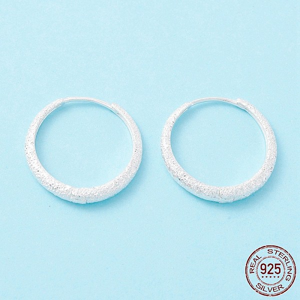 PandaHall Textured 925 Sterling Silver Small Huggie Hoop Earrings, Exquisite Minimalist Earrings for Girl Women, Silver, 3x20mm, Pin: 0.8mm...
PandaHall Textured 925 Sterling Silver Small Huggie Hoop Earrings, Exquisite Minimalist Earrings for Girl Women, Silver, 3x20mm, Pin: 0.8mm...