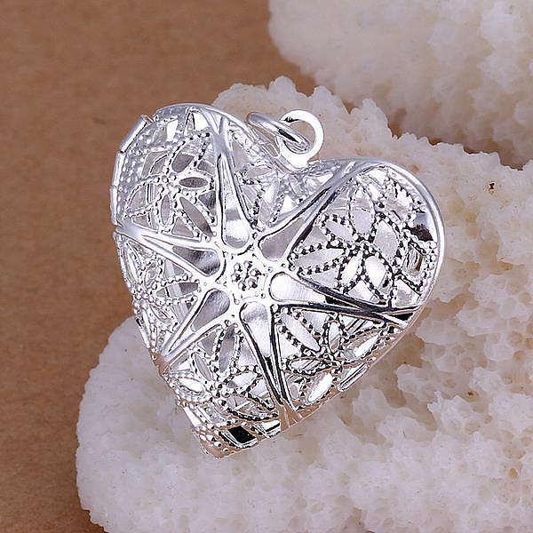 PandaHall Brass Hollow Heart Diffuser Locket Pendants, Silver Color Plated, 31x26mm Brass Heart
PandaHall Brass Hollow Heart Diffuser Locket Pendants, Silver Color Plated, 31x26mm Brass Heart