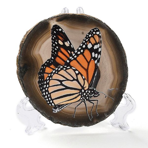 PandaHall Printed Natural Agate Slice Stone Ornament, for Good Luck Home Office Decor, Butterfly, 125~135x95~135x6.5~9mm Natural Agate..., Multicolor
PandaHall Printed Natural Agate Slice Stone Ornament, for Good Luck Home Office Decor, Butterfly, 125~135x95~135x6.5~9mm Natural Agate..., Multicolor