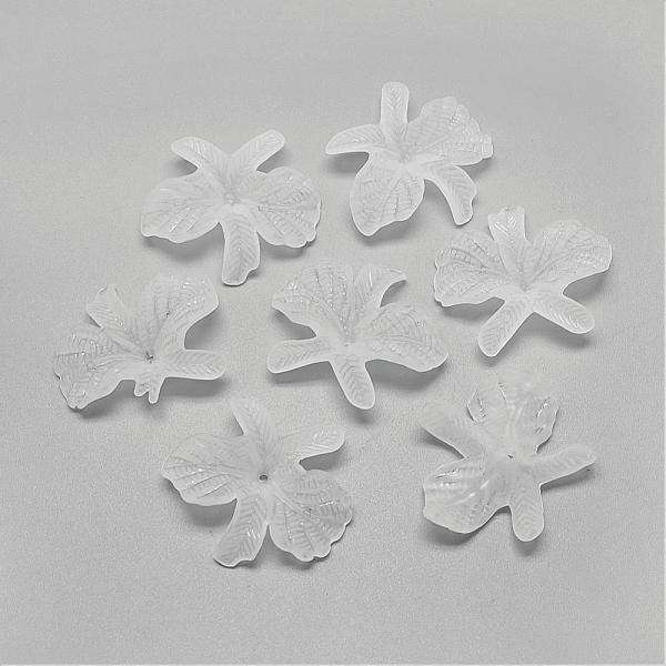 PandaHall Transparent Acrylic Beads, Frosted, Flower, Clear, 32.5x37.5x3mm, Hole: 1.5mm, about 1300pcs/500g Acrylic Flower Clear
PandaHall Transparent Acrylic Beads, Frosted, Flower, Clear, 32.5x37.5x3mm, Hole: 1.5mm, about 1300pcs/500g Acrylic Flower Clear