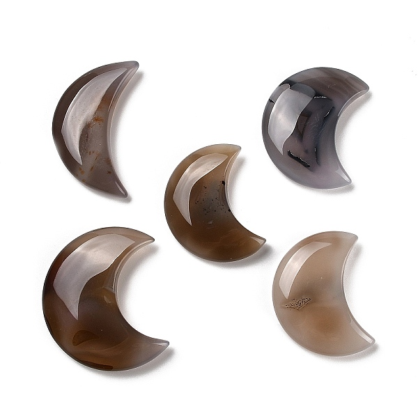 PandaHall Natural Dendritic Agate Cabochons, Moon, 52~60x37~45.5x11~13mm Dendritic Agate Moon
PandaHall Natural Dendritic Agate Cabochons, Moon, 52~60x37~45.5x11~13mm Dendritic Agate Moon