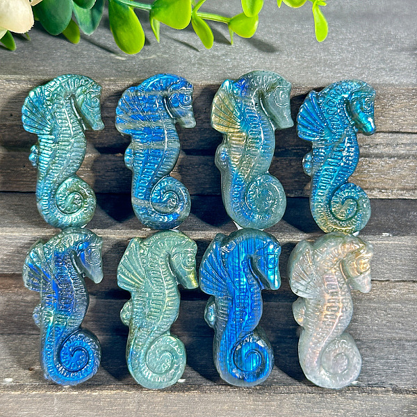 PandaHall Natural Labradorite Carved Healing Sea Horse Figurines, Reiki Energy Stone Display Decorations, 45x23mm Labradorite Sea Horse
PandaHall Natural Labradorite Carved Healing Sea Horse Figurines, Reiki Energy Stone Display Decorations, 45x23mm Labradorite Sea Horse