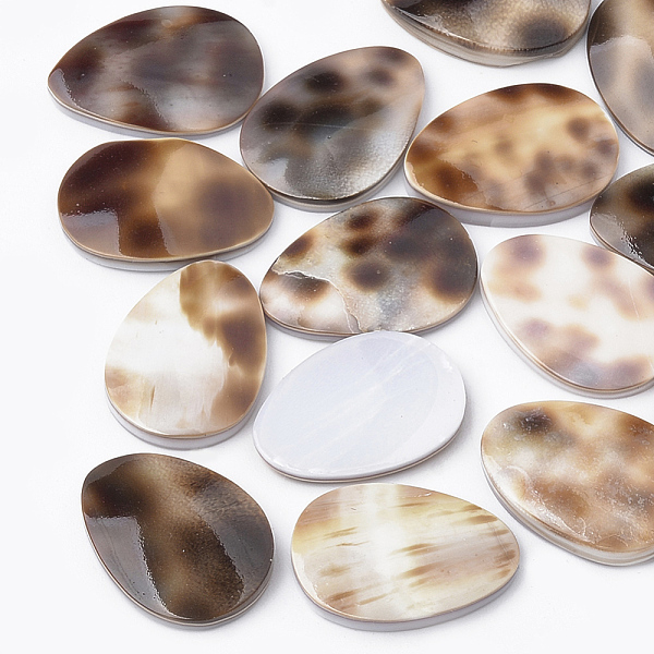 PandaHall Tiger Cowrie Shell Cabochons, teardrop, Sienna, 17.5~18x12.5~13x1~3mm Shell Teardrop Brown
PandaHall Tiger Cowrie Shell Cabochons, teardrop, Sienna, 17.5~18x12.5~13x1~3mm Shell Teardrop Brown