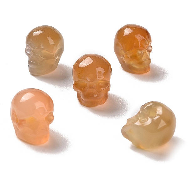 PandaHall Natural Agate Beads, Halloween Skull, 11~11.5x8.5~9x11~11.5mm, Hole: 0.9~1mm Natural Agate Skull
PandaHall Natural Agate Beads, Halloween Skull, 11~11.5x8.5~9x11~11.5mm, Hole: 0.9~1mm Natural Agate Skull