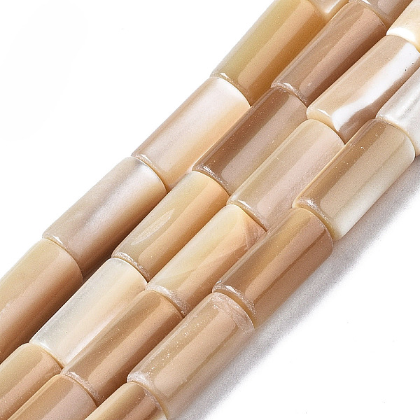 PandaHall Natural Trochid Shell/Trochus Shell Beads Strands, Column, BurlyWood, 10x5mm, Hole: 0.8mm, about 40pcs/strand, 15.75 inch(40cm)..., Orange
PandaHall Natural Trochid Shell/Trochus Shell Beads Strands, Column, BurlyWood, 10x5mm, Hole: 0.8mm, about 40pcs/strand, 15.75 inch(40cm)..., Orange
