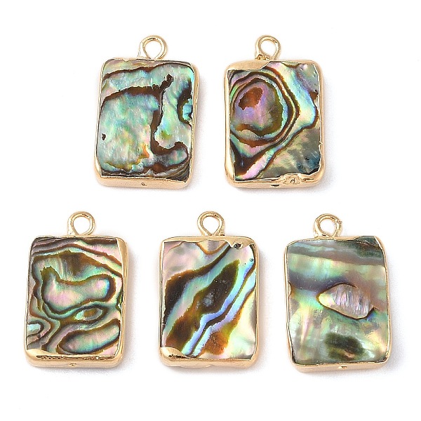 PandaHall Natural Paua Shell Pendants, Rectangle Charms with Brass Edge, Golden, 20x12x3.5mm, Hole: 1.8mm Paua Shell Rectangle
PandaHall Natural Paua Shell Pendants, Rectangle Charms with Brass Edge, Golden, 20x12x3.5mm, Hole: 1.8mm Paua Shell Rectangle