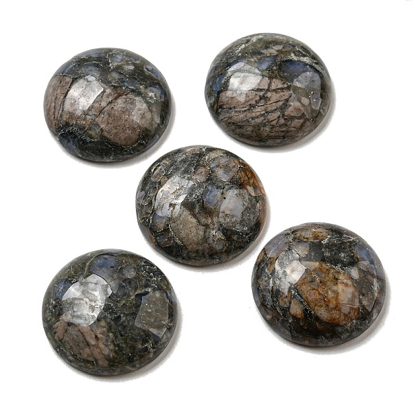 PandaHall Natural Glaucophane Cabochons, Flat Round, 20~21.5x6~8mm Glaucophane Flat Round
PandaHall Natural Glaucophane Cabochons, Flat Round, 20~21.5x6~8mm Glaucophane Flat Round