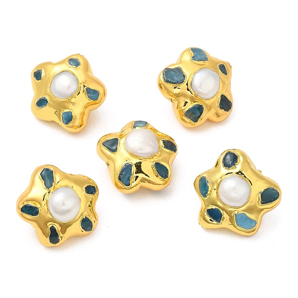 PandaHall Natural Pearl Star Beads, Long-Lasting Plated, with Golden Plated Brass Edge and Natural Apatite, Seashell Color...
PandaHall Natural Pearl Star Beads, Long-Lasting Plated, with Golden Plated Brass Edge and Natural Apatite, Seashell Color...