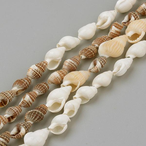 PandaHall Natural Sea Shell Beads Strands, Mixed Color, 8~18x5~10x5~10mm, about 109pcs/strand, 48 inch Other Sea Shell Shell Shape..., Multicolor
PandaHall Natural Sea Shell Beads Strands, Mixed Color, 8~18x5~10x5~10mm, about 109pcs/strand, 48 inch Other Sea Shell Shell Shape..., Multicolor