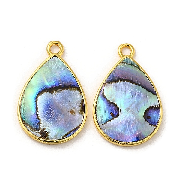 PandaHall Natural Paua Shell Pendants, Teardrop Charms with Brass Findings, Golden, 23.5x15x2mm, Hole: 2mm Paua Shell Teardrop
PandaHall Natural Paua Shell Pendants, Teardrop Charms with Brass Findings, Golden, 23.5x15x2mm, Hole: 2mm Paua Shell Teardrop
