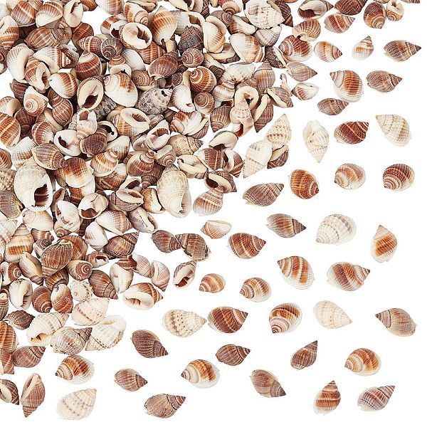PandaHall Natural Spiral Shell Beads, No Hole, 10~15x5~10x5~10mm, about 300pcs/box Spiral Shell Shell Shape Brown
PandaHall Natural Spiral Shell Beads, No Hole, 10~15x5~10x5~10mm, about 300pcs/box Spiral Shell Shell Shape Brown