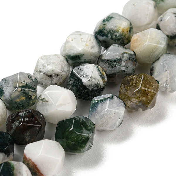 PandaHall Natural Tree Agate Beads Strands, Faceted, Polygon, 7.5~8.5x7.5~8x7.5~8mm, Hole: 1.4mm, about 44~49pcs/strand, 14.25~14.96 inch...
PandaHall Natural Tree Agate Beads Strands, Faceted, Polygon, 7.5~8.5x7.5~8x7.5~8mm, Hole: 1.4mm, about 44~49pcs/strand, 14.25~14.96 inch...