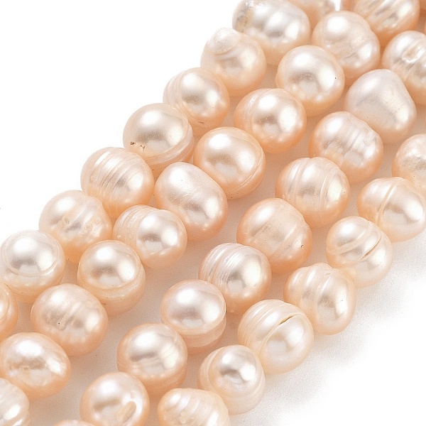 PandaHall Natural Cultured Freshwater Pearl Beads Strands, Potato, Light Salmon, 7~8mm, Hole: 0.6mm, about 26pcs/strand, 6.69 inch(17cm)...
PandaHall Natural Cultured Freshwater Pearl Beads Strands, Potato, Light Salmon, 7~8mm, Hole: 0.6mm, about 26pcs/strand, 6.69 inch(17cm)...
