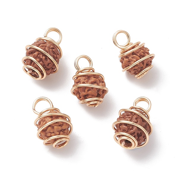 PandaHall Natural Rudraksha Copper Wire Wrapped Pendants, Barrel Charms, Undyed, Golden, 15~16.5x10~11.5x11mm, Hole: 3mm Wood Barrel
PandaHall Natural Rudraksha Copper Wire Wrapped Pendants, Barrel Charms, Undyed, Golden, 15~16.5x10~11.5x11mm, Hole: 3mm Wood Barrel