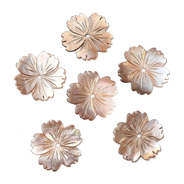 PandaHall Natural Sea Shell Beads, Sakura Flower, 23.5x23.5x1mm, Hole: 1.8mm Other Sea Shell Flower
PandaHall Natural Sea Shell Beads, Sakura Flower, 23.5x23.5x1mm, Hole: 1.8mm Other Sea Shell Flower
