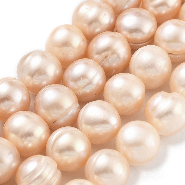 PandaHall Natural Cultured Freshwater Pearl Beads Strands, Potato, Light Salmon, 11~12mm, Hole: 0.6mm, about 17~18pcs/strand, 7.09~7.48 inch...
PandaHall Natural Cultured Freshwater Pearl Beads Strands, Potato, Light Salmon, 11~12mm, Hole: 0.6mm, about 17~18pcs/strand, 7.09~7.48 inch...