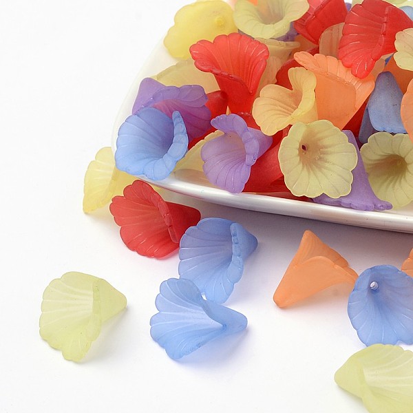 PandaHall Mixed Transparent Acrylic Flower Beads, Frosted, Dyed, 18x18x17mm, Hole: 1.5mm Acrylic Flower Multicolor
PandaHall Mixed Transparent Acrylic Flower Beads, Frosted, Dyed, 18x18x17mm, Hole: 1.5mm Acrylic Flower Multicolor