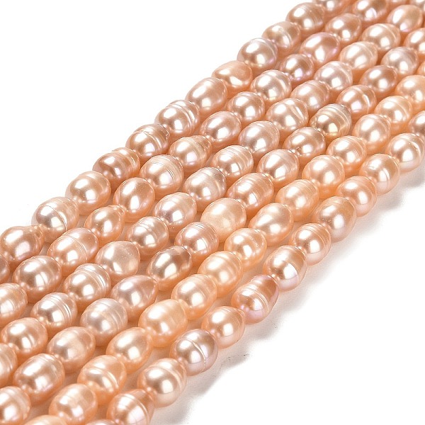 PandaHall Natural Cultured Freshwater Pearl Beads Strands, Rice, Grade AA, PeachPuff, 7~8x6~6.5mm, Hole: 0.7mm, about 45pcs/strand, 14.37''..., Brown
PandaHall Natural Cultured Freshwater Pearl Beads Strands, Rice, Grade AA, PeachPuff, 7~8x6~6.5mm, Hole: 0.7mm, about 45pcs/strand, 14.37''..., Brown