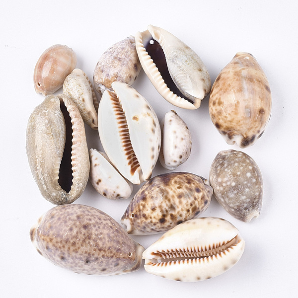 PandaHall Cowrie Shell Pendants, Camel, 23~46x14~26x10~25mm, Hole: 1.5mm, about 70pcs/500g Cowrie Shell Shell Shape Brown
PandaHall Cowrie Shell Pendants, Camel, 23~46x14~26x10~25mm, Hole: 1.5mm, about 70pcs/500g Cowrie Shell Shell Shape Brown