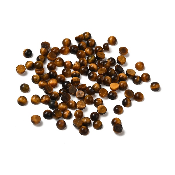 PandaHall Natural Tiger Eye Dome/Half Round Cabochons, 3x2mm Tiger Eye Half Round
PandaHall Natural Tiger Eye Dome/Half Round Cabochons, 3x2mm Tiger Eye Half Round