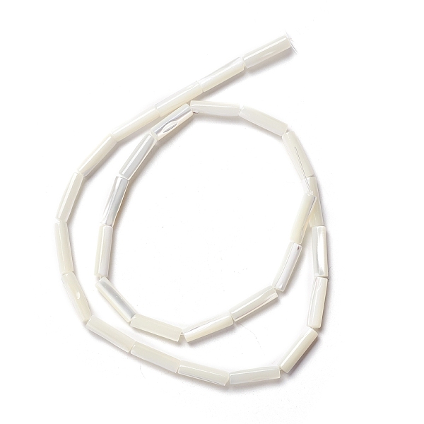 PandaHall Natural Trochid Shell/Trochus Shell Beads, Straight Tube, Seashell Color, 14x3.5~4mm, Hole: 0.8mm, about 29pcs/strand, 15.98 inch...
PandaHall Natural Trochid Shell/Trochus Shell Beads, Straight Tube, Seashell Color, 14x3.5~4mm, Hole: 0.8mm, about 29pcs/strand, 15.98 inch...